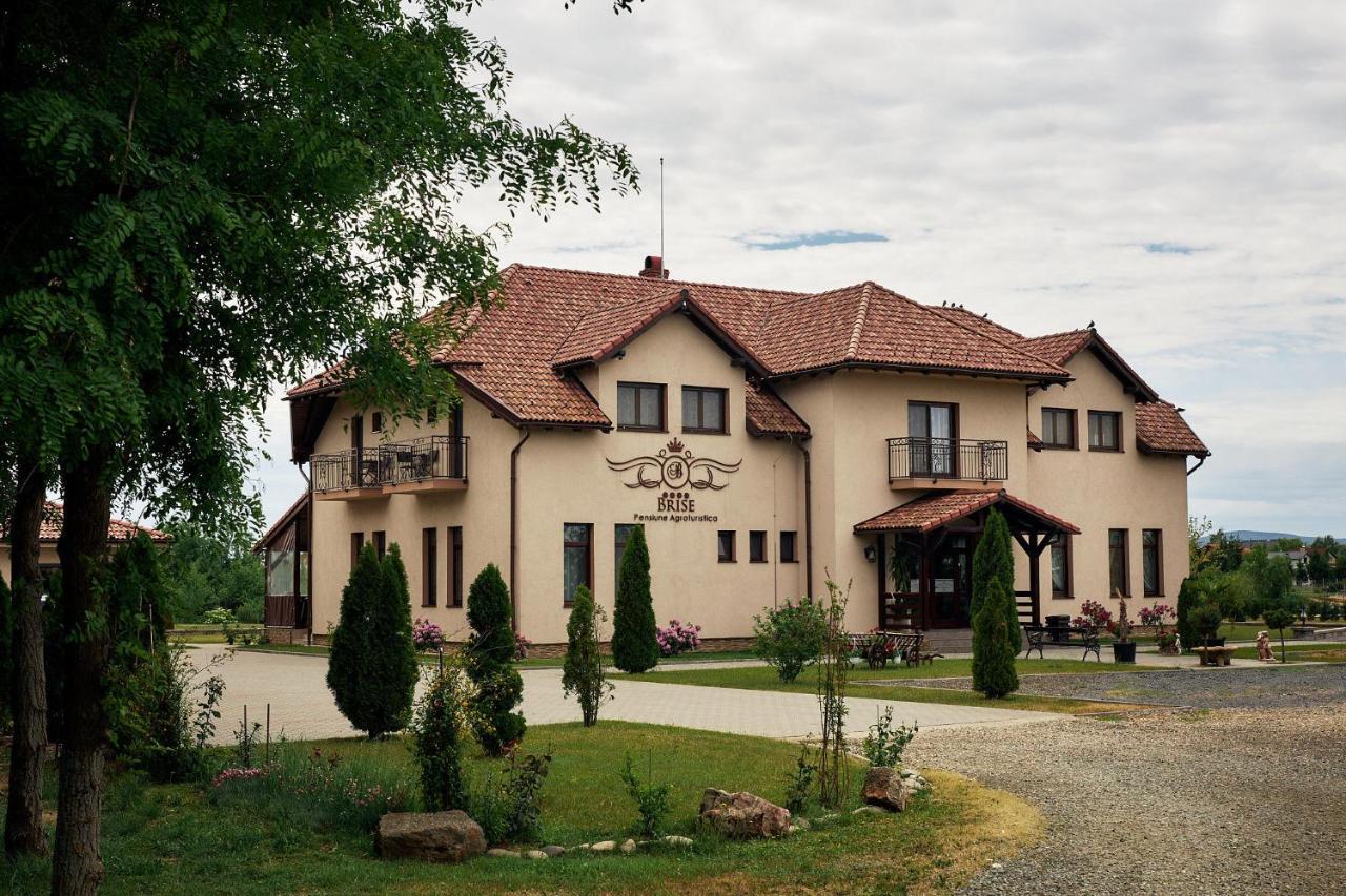 Pensiunea Brise Mediesu Aurit Exterior foto