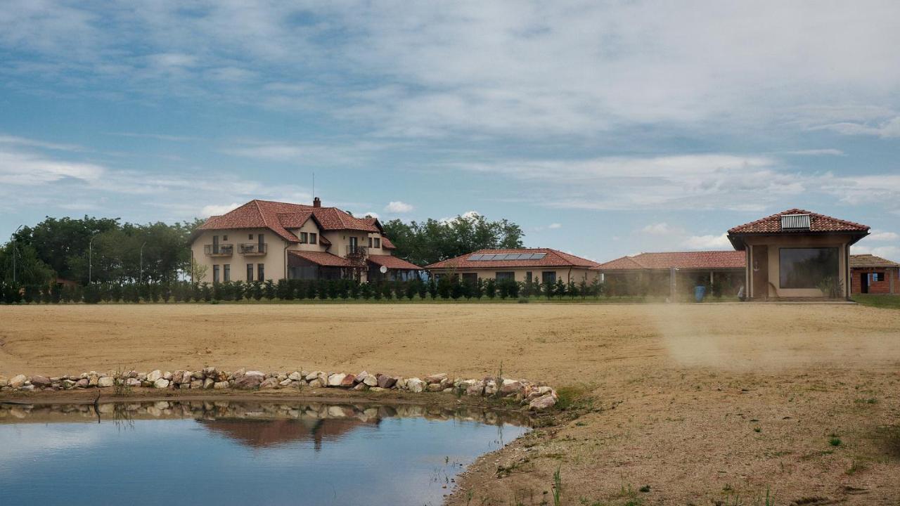 Pensiunea Brise Mediesu Aurit Exterior foto