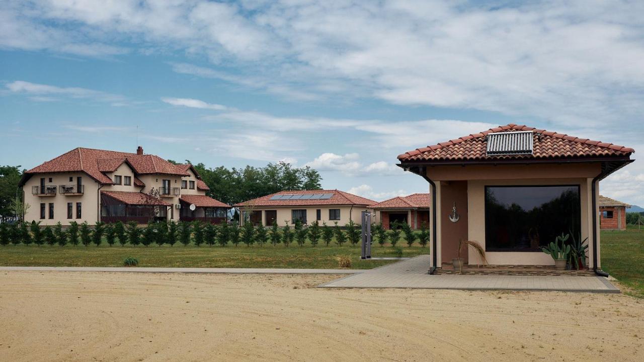 Pensiunea Brise Mediesu Aurit Exterior foto